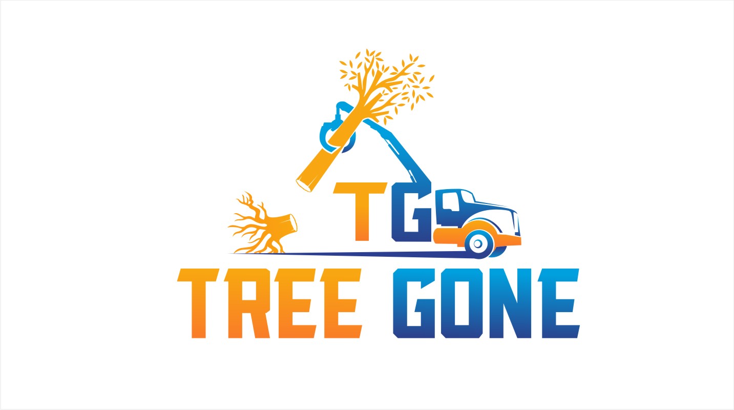 Logo Design by Soul Light for Gravity Marketing LLC | Design #19140437