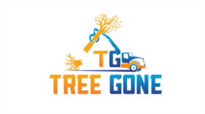 Logo Design by Soul Light for Gravity Marketing LLC | Design: #19140437