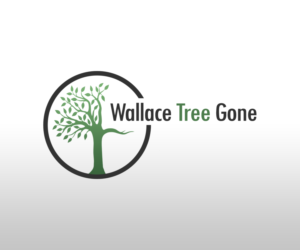 Logo Design by Andy’s Designs for Gravity Marketing LLC | Design: #19013522