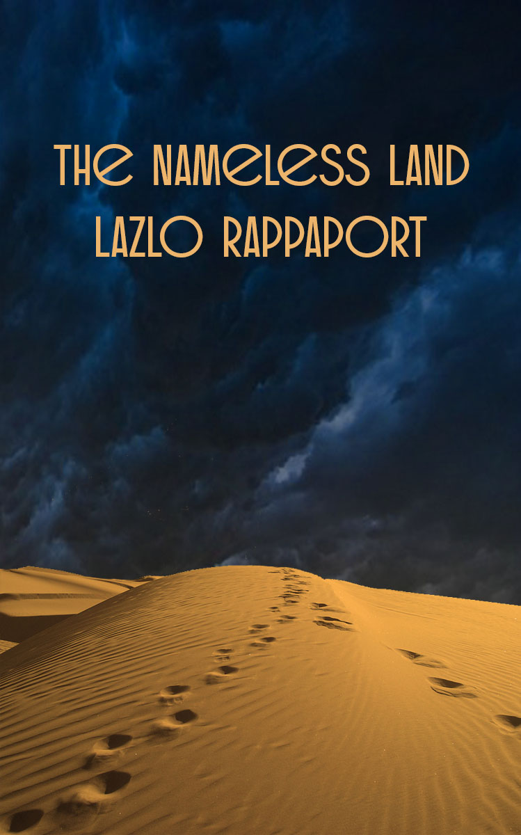 eBook Cover Design by jhk567jhk for this project | Design #11705980