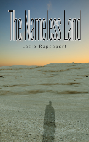 eBook Cover Design by Peter Schmidt for this project | Design: #11785795