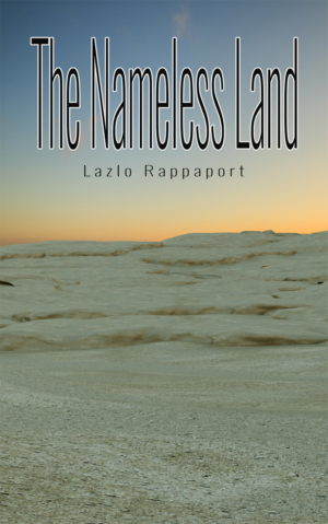 eBook Cover Design by Peter Schmidt for this project | Design: #11785796
