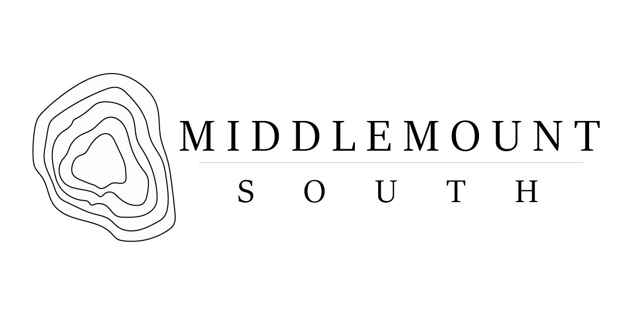 Logo Design by BiancaAlbino for this project | Design #11699538