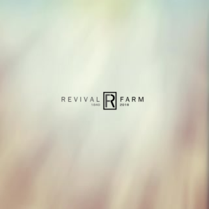 Logo Design by Caloyzki