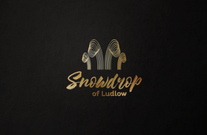 Design de Logo par GLDesigns pour ce projet | Design #11681351