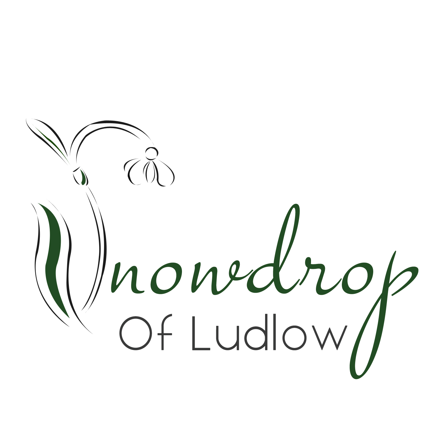 Design de Logo par feather pour ce projet | Design #11738514