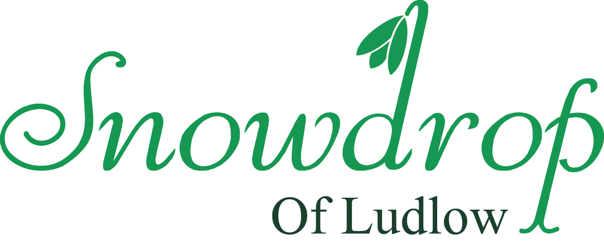 Diseño de Logo por chirond para este proyecto | Diseño #11692421