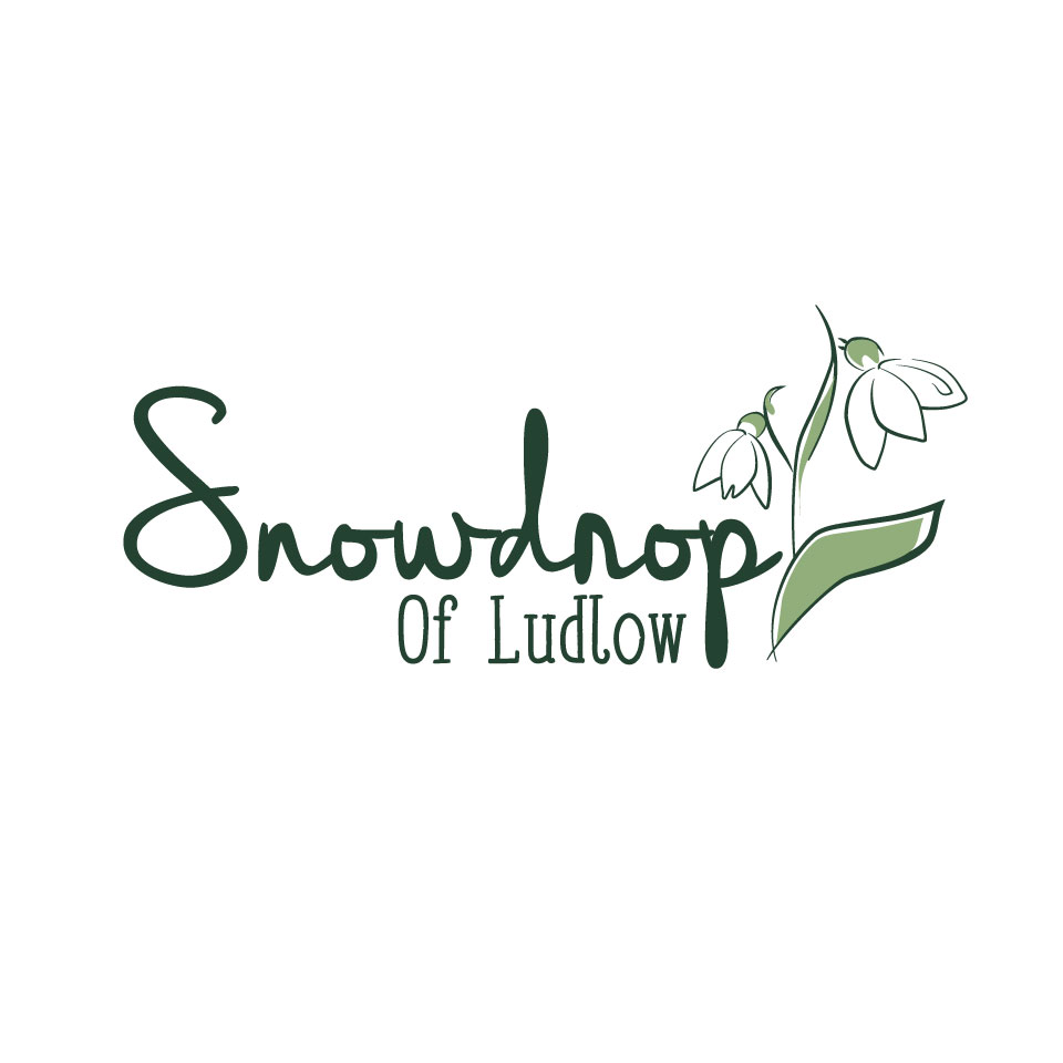 Logo Design by designstarla for this project | Design #11705955