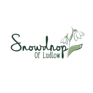 Logo Design by designstarla for this project | Design: #11705955
