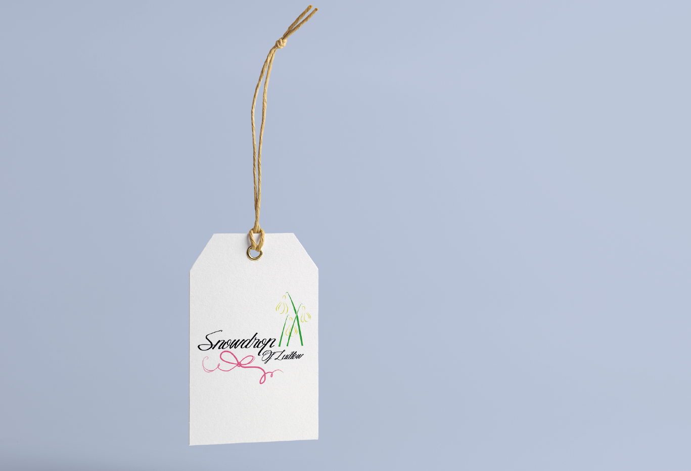 Logo Design by xana.avlis for this project | Design #11706746