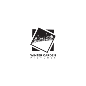 Pictorial Logo preferred | Logo Design by Michale Designs