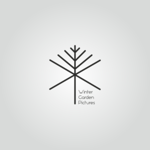 Logo Design by Mike78
