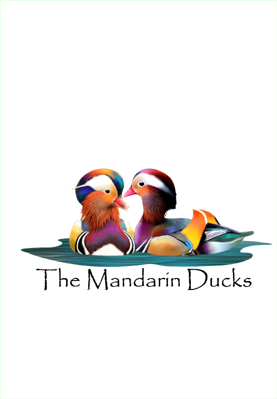 Illustration Design by Mercucio for this project | Design #11699080