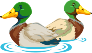 Illustration Design by Gatty