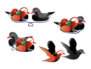 Illustration Design by Insigne Designs