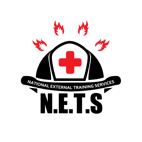 Logo Design by  Moataz for Pro Safety Solutions | Design #2362491