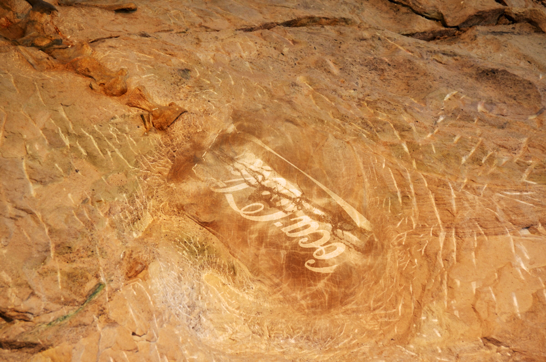 Design Photoshop par ashoksivak pour DesignCrowd (Community Contests) | Design #11702011