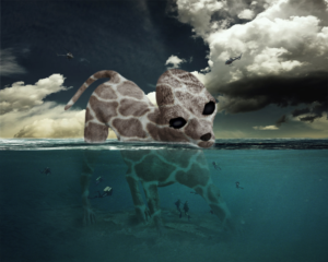 Photoshop Design by Anaïs 