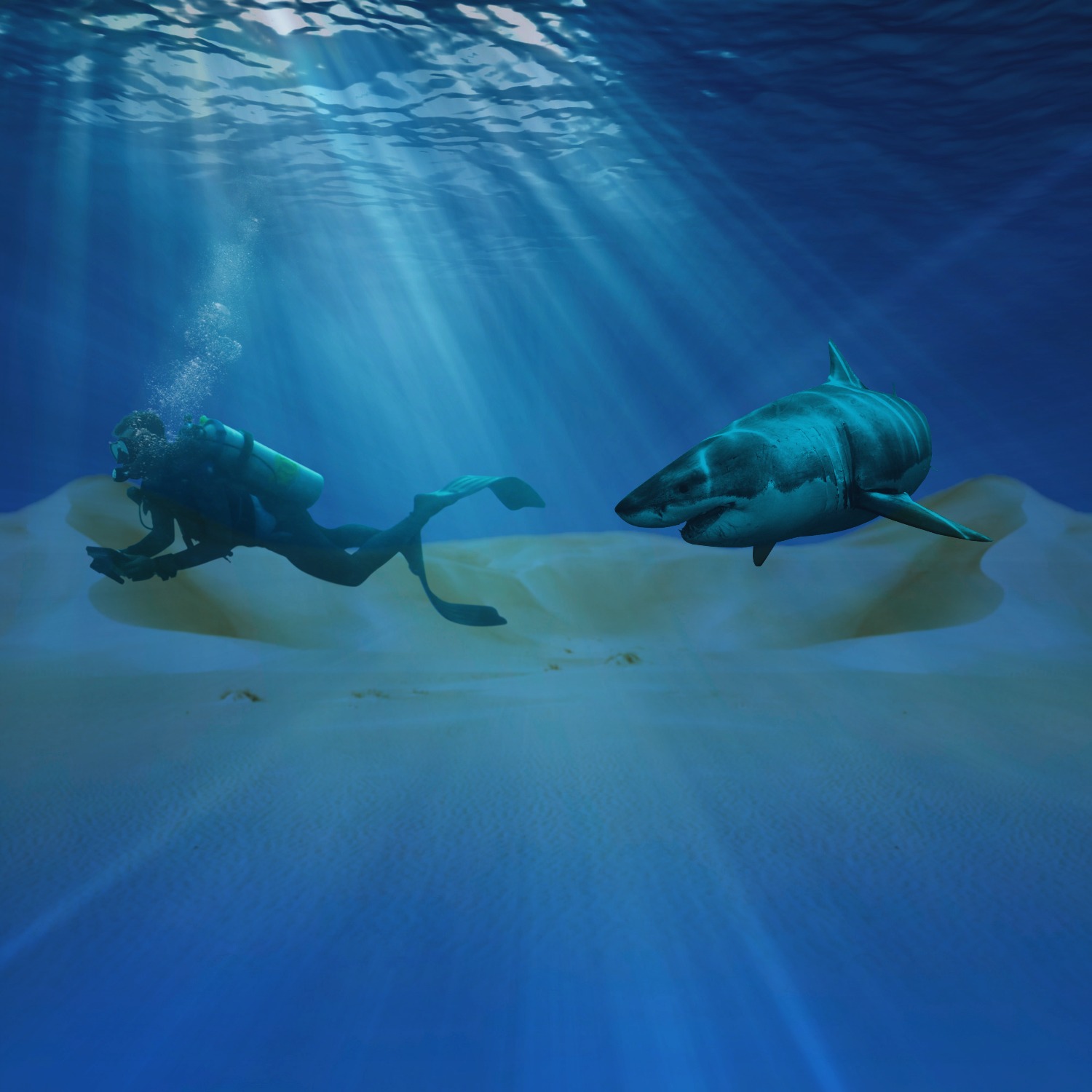 Design Photoshop par romaneverhart56 pour DesignCrowd (Community Contests) | Design #11696722