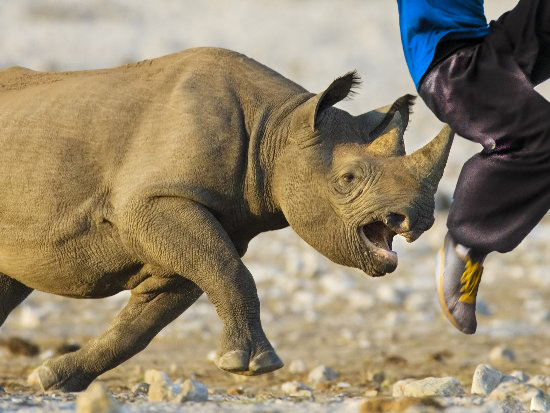 Photoshop Design by gian.calingay for DesignCrowd (Community Contests) | Design #11767489