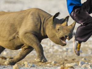 Photoshop Design by gian.calingay