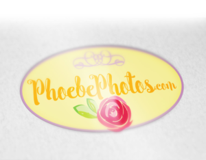 Ma Vie Luxury Bakery Cafe | Packaging Design by gooddesign