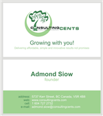 Business Card Design by In2Graphics for MSR Consulting Cents | Design: #26579