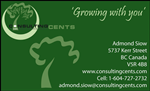 Business Card Design by Emily Butters for MSR Consulting Cents | Design: #26055