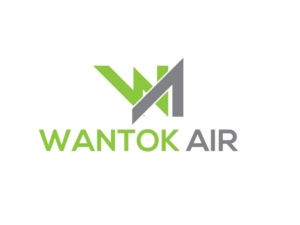 Logo Design by DESIGN Services JK for Wantok Air | Design: #11698181