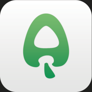 Icon Design by Duy Quang