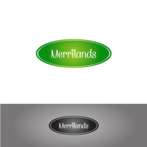 Logo Design by haykkocharyan7