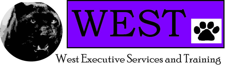 Logo-Design von Emily Butters für West Executive Services & Training | Design #26737