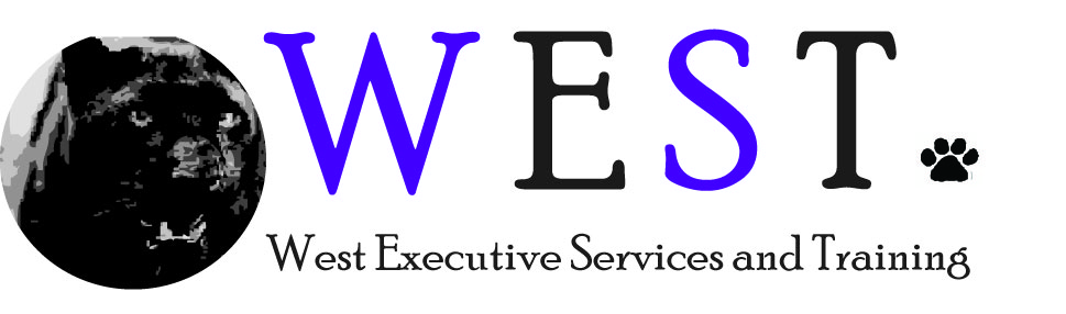 Logo Design by Emily Butters for West Executive Services & Training | Design #26742