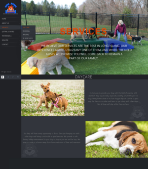 Submitted to Brief #2229218 by Designer #152860