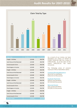 Audit Business Needs Client Report Template | Print Design by Carla T.