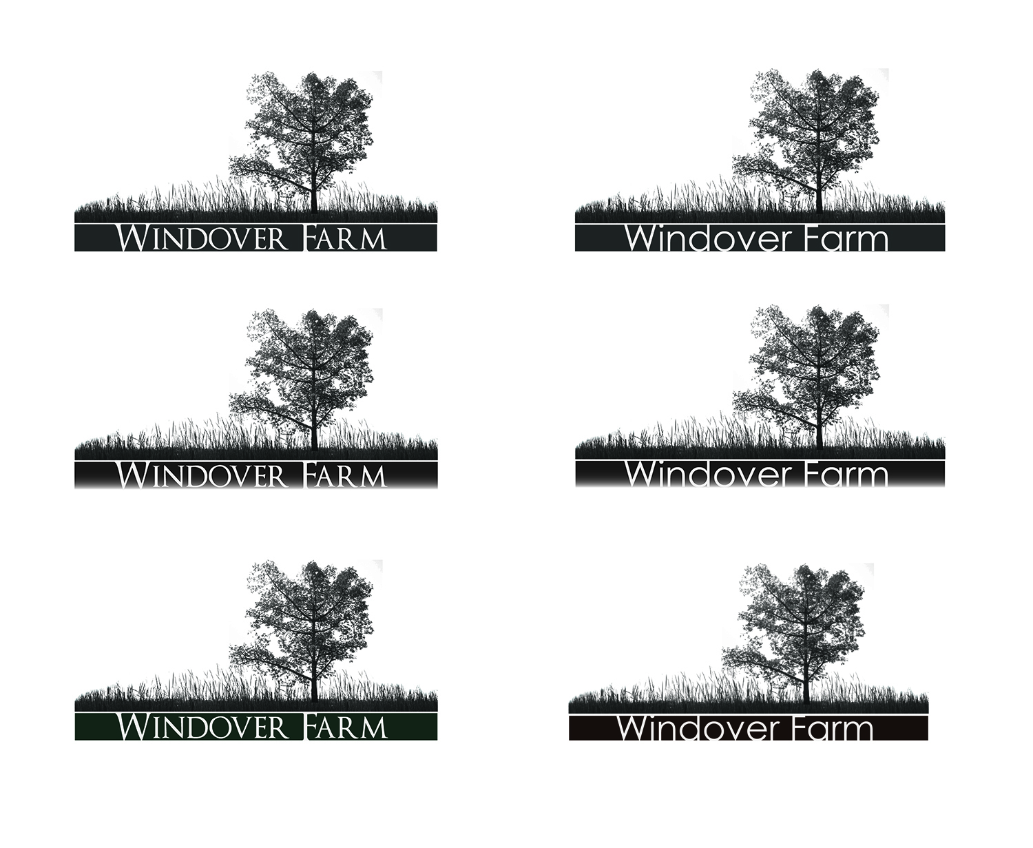 Logo Design by Shark Artack for this project | Design #11741501