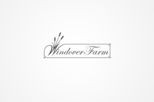 Logo Design by MarkDesign