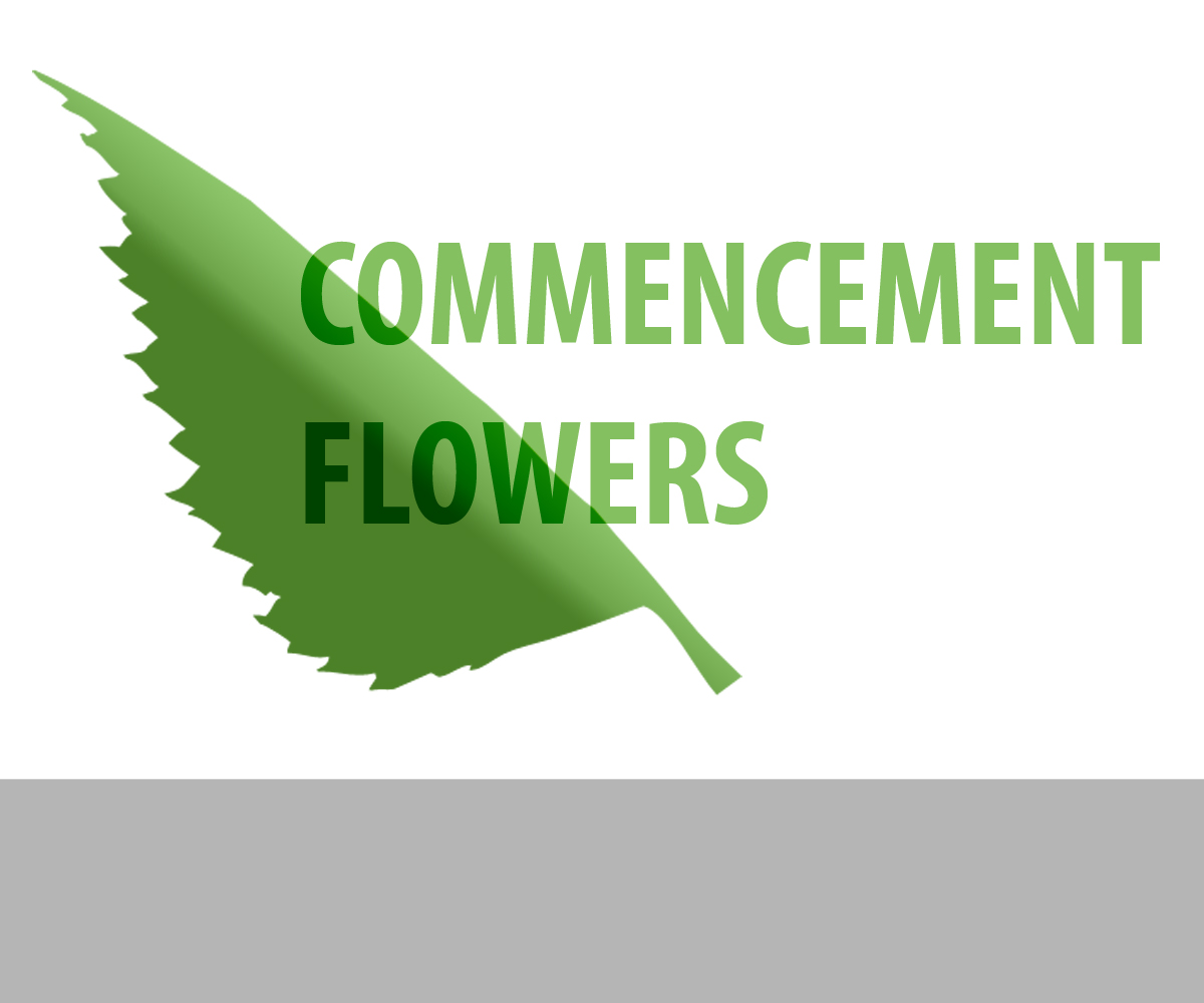 Logo Design by vsgbfn for this project | Design #2347295