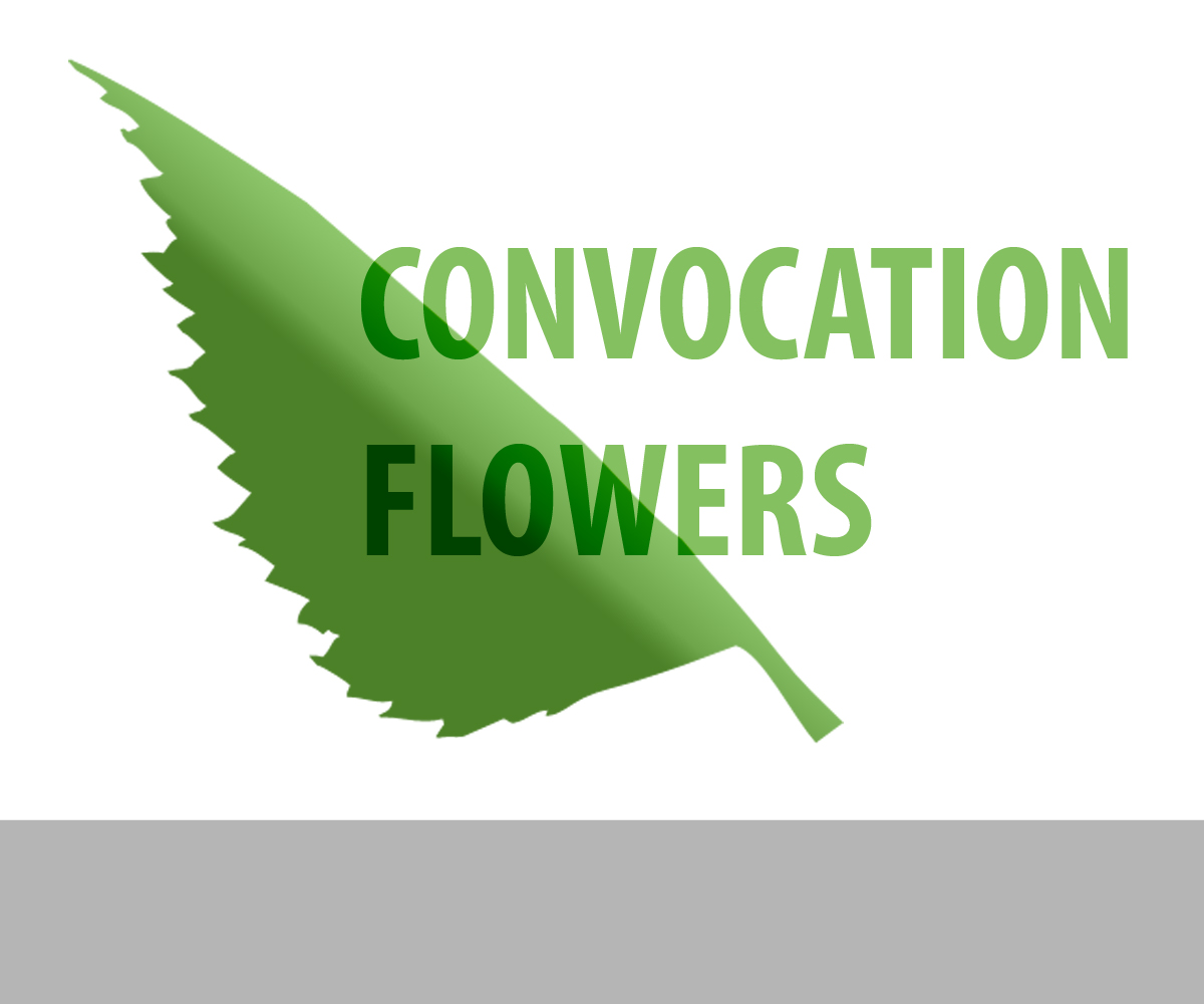 Logo-Design von vsgbfn für dieses Projekt | Design #2347297