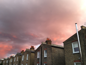 Photography by Catherine Hood