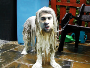 Photoshop Design Contest Submission #11756570