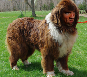 Photoshop Design Contest Submission #11749729
