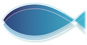 Logo Design by Diesel's Daughter