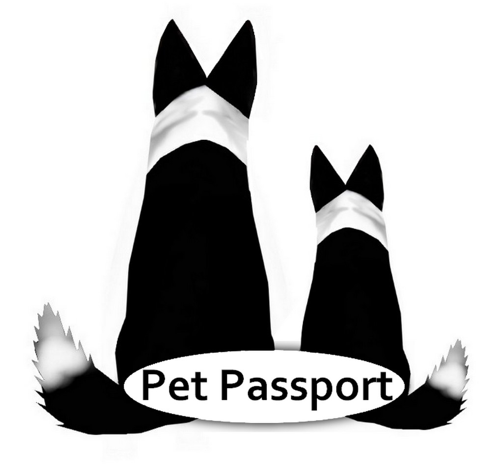 Logo-Design von designerone für Bloom 7 | Design #11729116