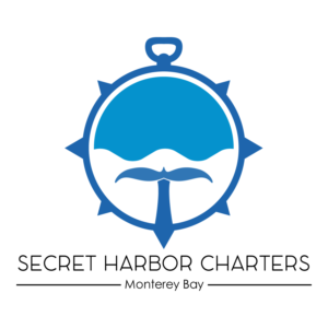 Logo Design by Pixelution Studios