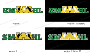 Logo Design by Expert Designer