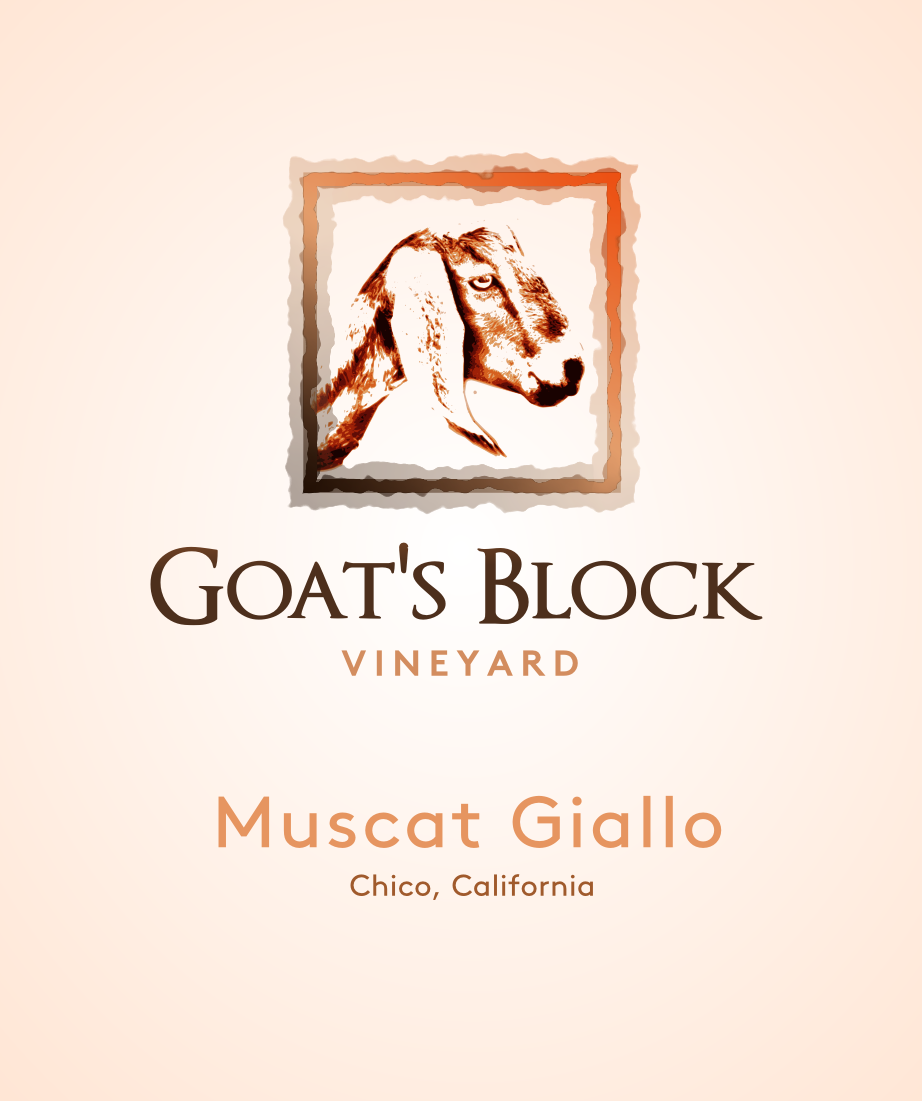 Diseño de Logo por Giovanni para este proyecto | Diseño #11764744