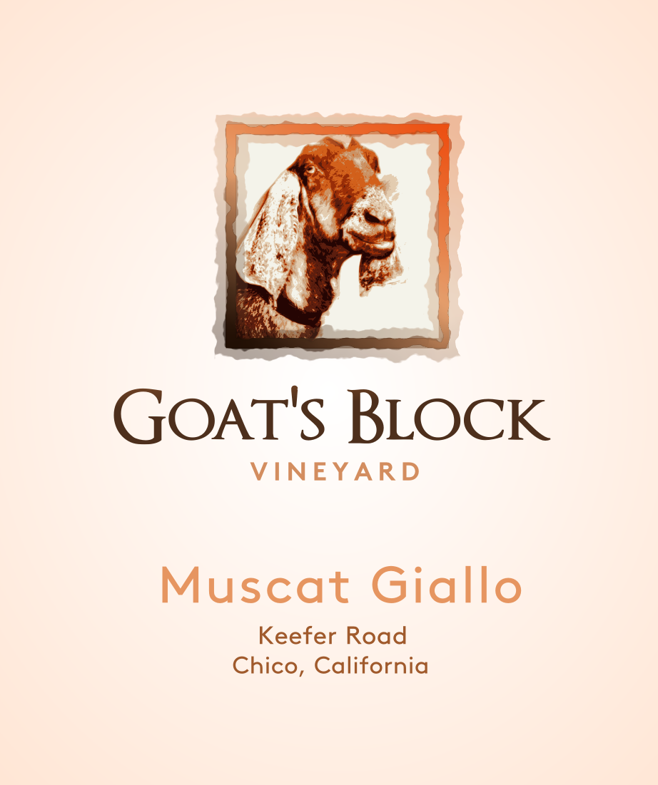 Diseño de Logo por Giovanni para este proyecto | Diseño #11809132