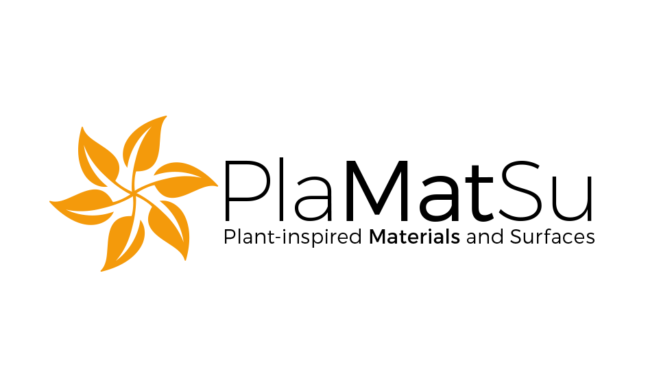 Logo Design by trufya for Adolphe Merkle Institute, University of Fribourg | Design #11873081