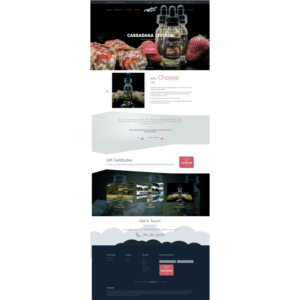 Web Design by Next Screen Infotech